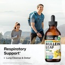 bio-krauter-mullein-tincture-4-fl-oz-sti-2.jpg