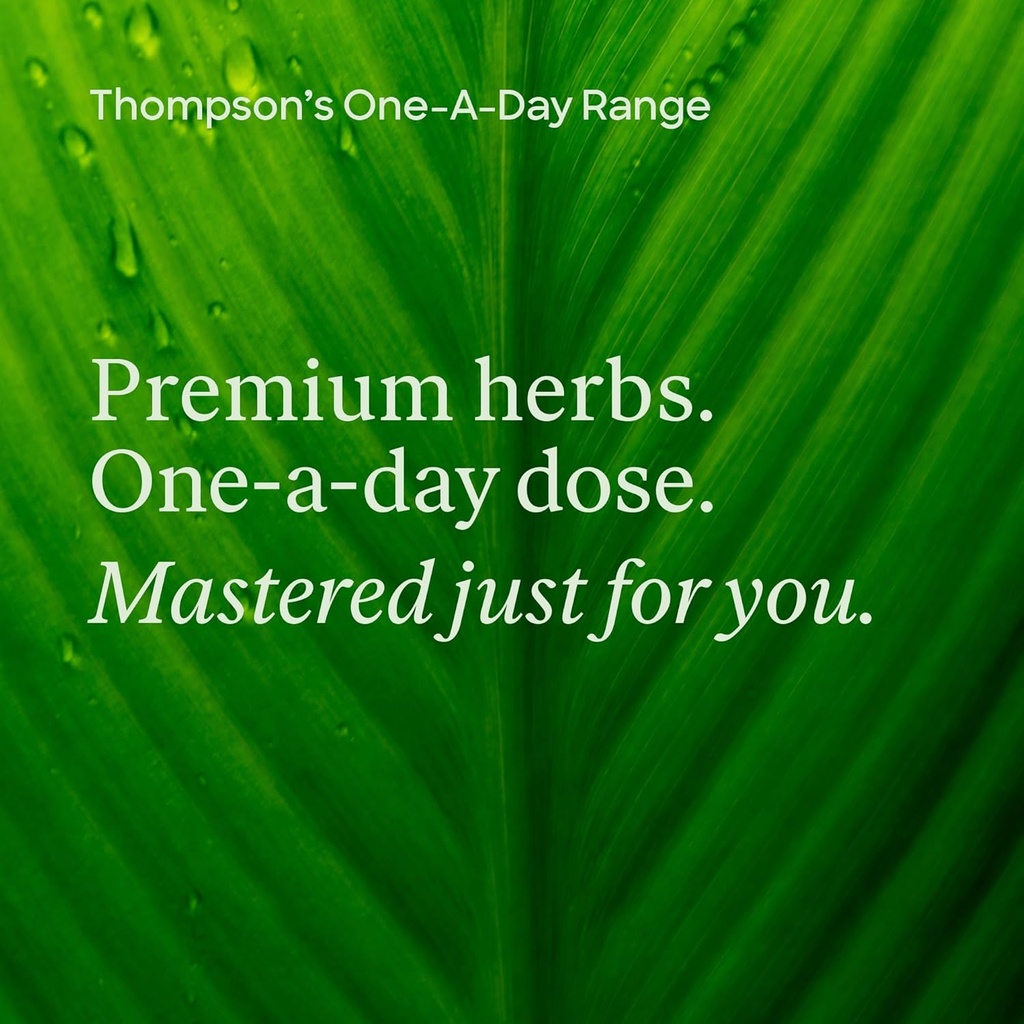 thompsons-one-a-day-ginkgo-6000mg-60-cap-6.jpg