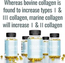 shizam-hydrolyzed-bovine-collagen-biotin-3.jpg