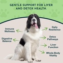 animal-essentials-milk-thistle-for-dogs--2.jpg