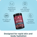 ancient-nutrition-advanced-multi-collage-2.jpg
