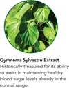 botanic-choice-lemon-balm-rosemary-leaf--3.jpg