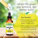 botanic-choice-lemon-balm-rosemary-leaf--5.jpg