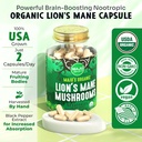 maju-superfoods-organic-lions-mane-mushr-2.jpg