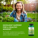 swanson-epic-pro-25-strain-probiotic-30--6.jpg