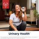 designs-for-health-ut-synergy---500mg-d--2.jpg