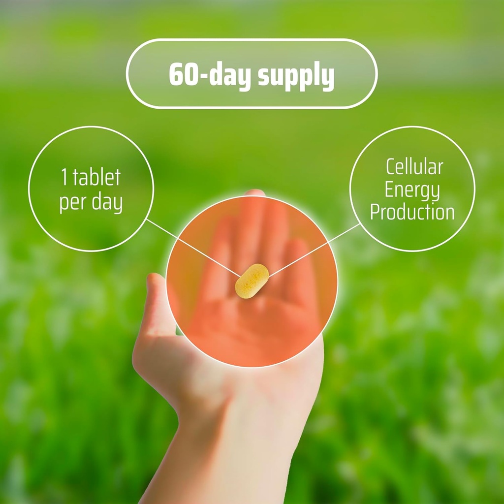 ydy-all-active-bq10---coq10-100mg-vitami-6.jpg