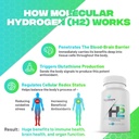 essential-h2-fizzy-molecular-hydrogen-ta-4.jpg