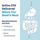 klaire-labs-sfi-health-saccharomyces-bou-3.jpg