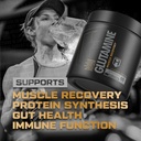 hosstile-glutamine-fermented-l-glutamine-2.jpg