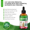 dog-prenatal-vitamins-for-moms-during-la-2.jpg