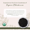 starwest-botanicals-organic-elderberries-2.jpg