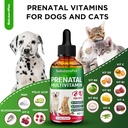 dog-prenatal-vitamins-for-moms-during-la-3.jpg