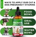 dog-prenatal-vitamins-for-moms-during-la-4.jpg