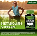 digestive-enzymes-with-probiotics-and-pr-5.jpg