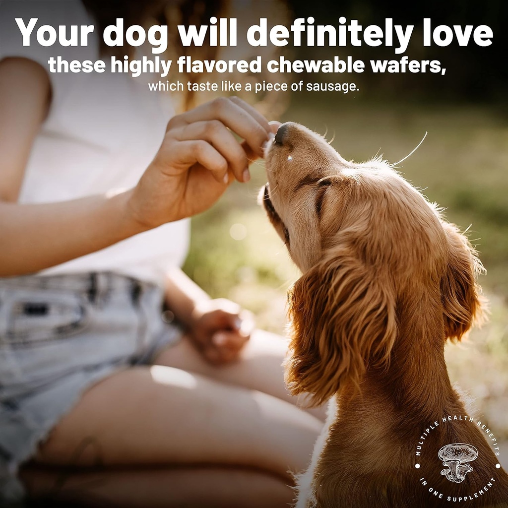 aloha-medicinals---k9-immunity-plus---po-5.jpg