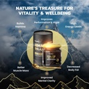generic-beepwell-shilajit-resin-pure-org-3.jpg