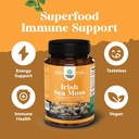 bundle-of-pure-sam-e-nootropic-brain-sup-5.jpg