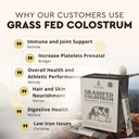 ancestral-supplements-grass-fed-beef-bov-5.jpg