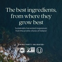 new-chapter-magnesium-ashwagandha-supple-5.jpg