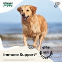 reishi-mushroom-drops-for-dogs---immune--2.jpg