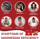 magnesium-glycinate-gummies-sugar-free-m-3.jpg