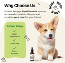 reishi-mushroom-drops-for-dogs---immune--6.jpg