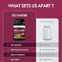 red-clover-blossoms-herb-hormone-harmony-6.jpg