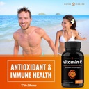nutrachamps-elderberry-and-vitamin-c-cap-5.jpg