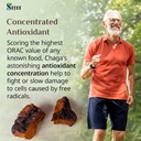 sayan-siberian-pure-raw-chaga-mushroom-c-6.jpg