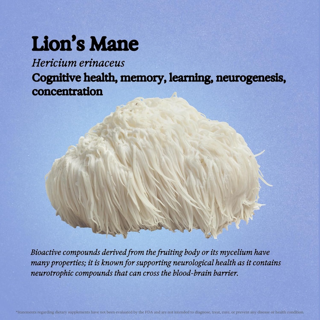 rainbo---lions-mane-mushroom-tincture----4.jpg