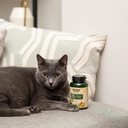now-pet-health-pet-relaxant-supplement-f-6.jpg