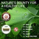 ginkgo-biloba-capsules---daily-natural-n-5.jpg