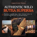 butea-superba-extract---traditional-thai-2.jpg
