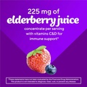 vitafusion-elderberry-gummy-vitamins-90c-6.jpg