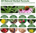 cleavers-lymphatic-drainage-drops-for-ly-4.jpg