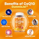 neviss-1pack-sugar-free-coq10-250mg-fill-3.jpg
