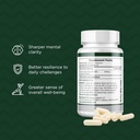 probase-nutrition-nmn-alternative-nr-sup-4.jpg