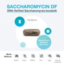 xymogen-saccharomycin-10b---stomach-acid-2.jpg