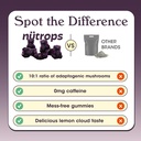 nutrops-sugar-free-lions-mane-mushroom-g-5.jpg