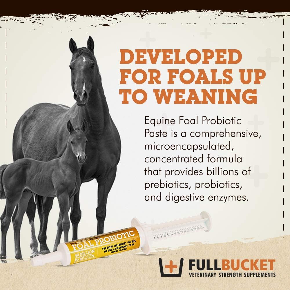 fullbucket-health-foal-probiotic-paste-2.jpg