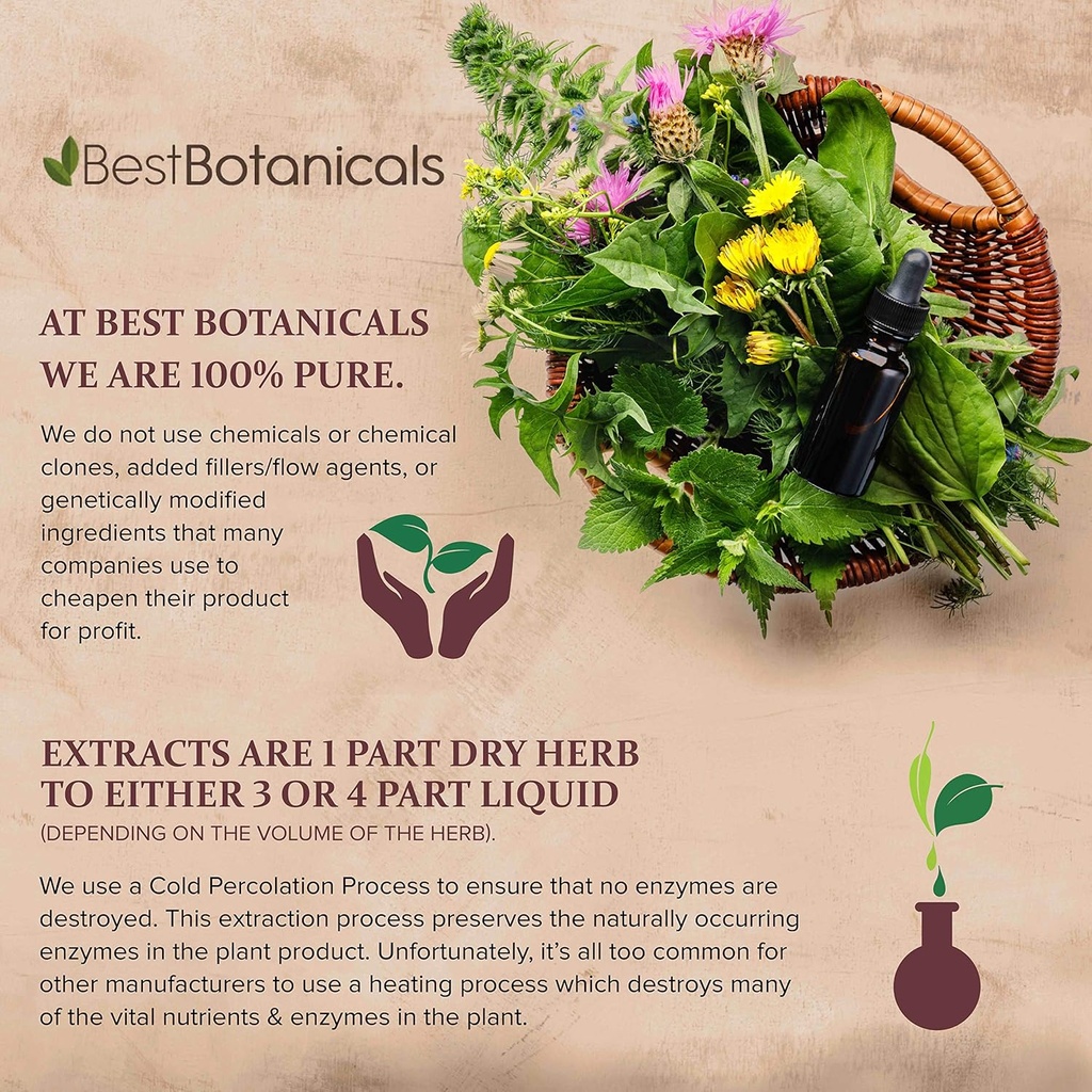 best-botanicals-corydalis-root-extract-1-3.jpg