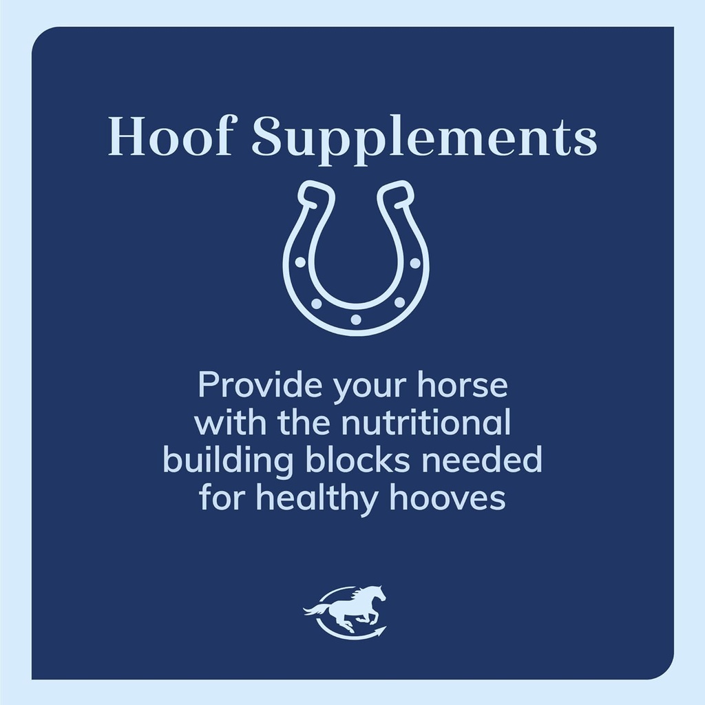 smartequine-laminox-powder-hoof-support--4.jpg