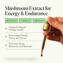 fantastic-fungi-cordyceps-mushroom-tinct-2.jpg