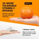 immune-support-vitamins-quercetin-supple-5.jpg