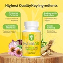 hybridar-rapid-sinus-relief-and-calm-fas-4.jpg