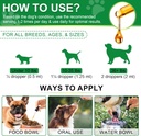 antibiotics-for-dogsnatural-antibiotics--4.jpg