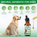 antibiotics-for-dogsnatural-antibiotics--5.jpg