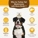 iheartdogs-turkey-tail-mushroom-for-dogs-6.jpg