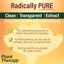 plant-therapy-turmeric-black-pepper-supp-4.jpg